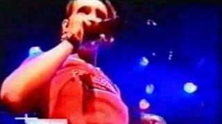 Guano Apes - We Use The Pain (live)