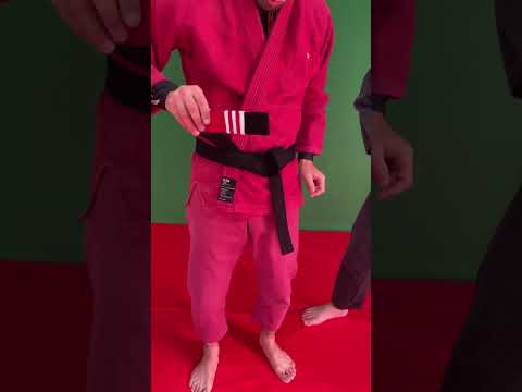【柔術】帯の絞め方（その5）#shorts #jiujitsu #bjj #柔術 #ブラジリアン柔術 #mjjlab