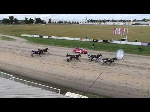 Trka "Bilibili" 20.06.2020 Caline Des Landes - Branko Skenderović