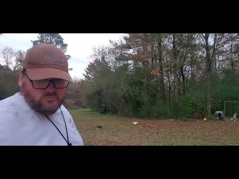 Slingbow practice 18 yds 8 inch paper plate