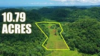 Affordable Farmland FOR SALE in Jamaica - What An Opportunity!