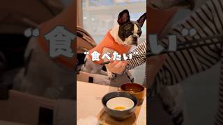 食べたい