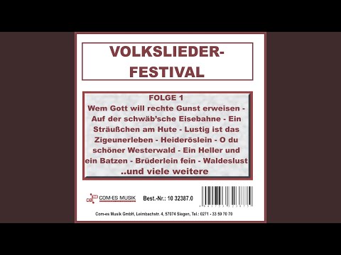 Ein Sträußchen am Hute