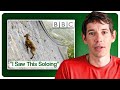 Alex Honnold Breaks Down VIRAL Free Soloing Clips