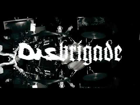 DISBRIGADE - Bullshit Propaganda (ENT Cover)
