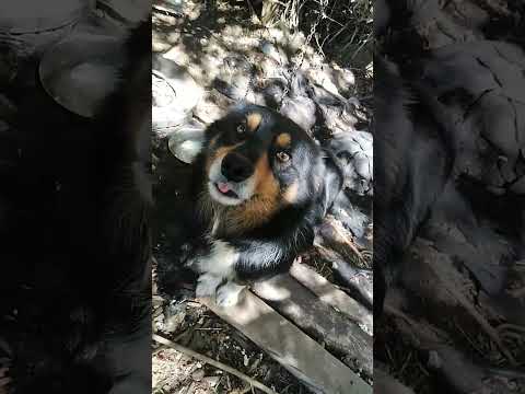 14 de octubre de 2023