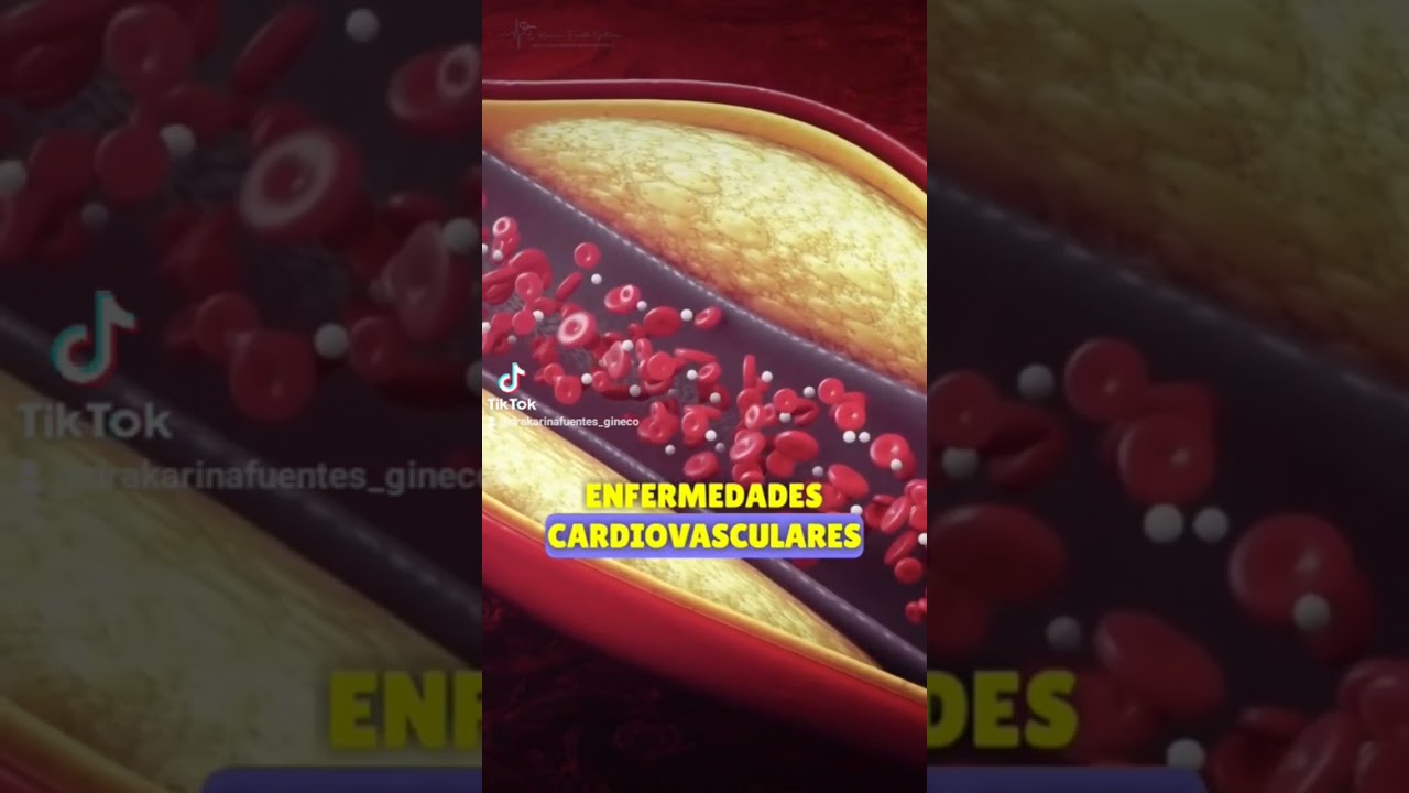 Erika Karina Fuentes Gutiérrez-19