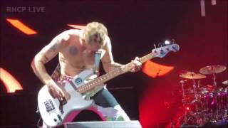 Red Hot Chili Peppers - Goodbye Angels - Columbia, SC (SBD audio)