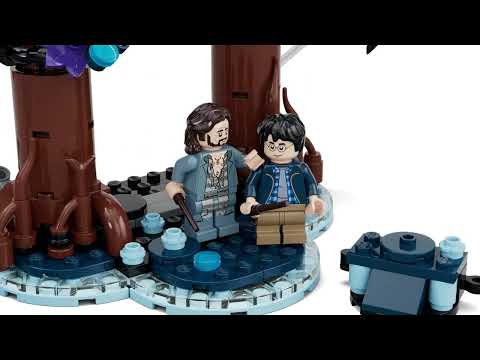 Gambar LEGO Harry Potter Forbidden Forest Set 244 pcs 76475 - Mix