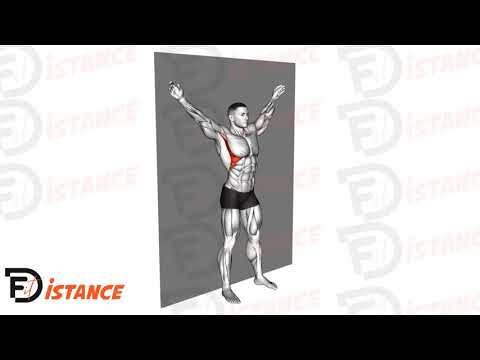 Élévations Y contre le mur - Exercice Élévations Y contre le mur en vidéo Élévations Y contre le mur - Exercice Élévations Y contre le mur en vidéo