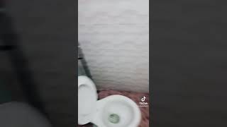 【tiktok】デカイデカイ❤️@tiktok