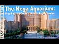 The Mega Aquarium: They Built an Ocean… Now It Has to Survive - Part 2 - Full Documentary