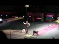 Dog Tricks3 Ringling Bros Zing Zang Zoom NYC