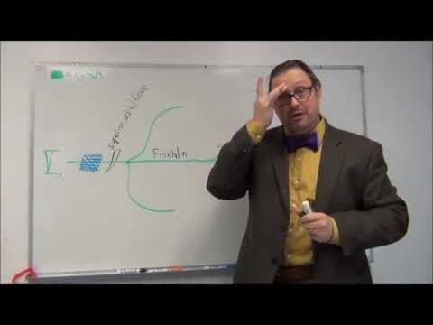 Neuroanatomy - Cranial Nerve V - Drawing the Trigeminal Nerve Pathways