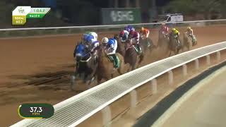 FOREVER YOUNG Makes History: Back-to-Back Saudi Cup Winner