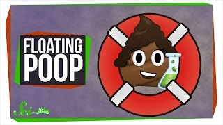 Why Does My Poop Float?
