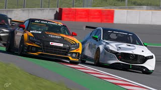 GT7 WTCCテスト3
