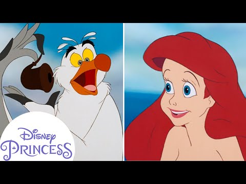 Scuttle Explains Human Stuff! | Disney Princess
