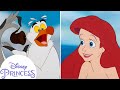 Scuttle Explains Human Stuff Disney Princess