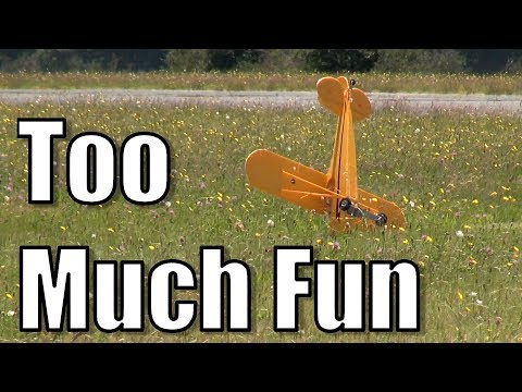 RC planes in the New Zealand summer sun