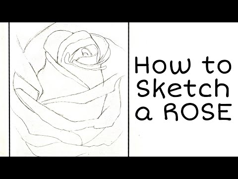 HOW to sketch a Rose flower | easy drawing |artmahal by najla