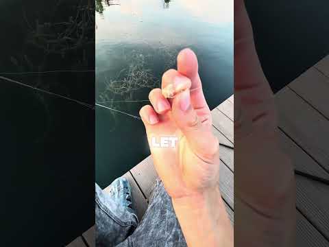 DAY 3 Final day😂🥲😭 #foryou #bassfishing #bassfishing