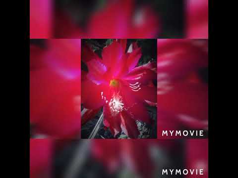 Geografie Graad 10 Hoofstuk 1 Eenheid 4