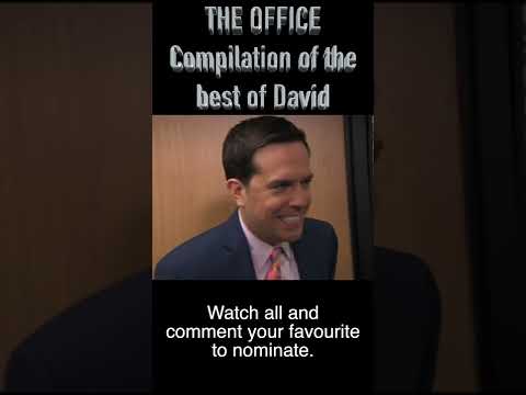 THE BEST OF DAVID WALLACE FROM THE OFFICE COMPILATION OF FUNNY STUPID OR GREAT CLIPS