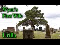 WYATT EARP'S 1st WIFE - Urilla Sutherland, in Milford, Missouri (near Lamar). At Howell Cemetery.
