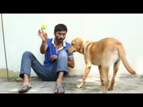 download lagu mp3 mp4 Vip Movie Images, download lagu Vip Movie Images gratis, unduh video klip Vip Movie Images