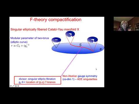 NESM 2020: Mirjam Cvetic (U Penn)