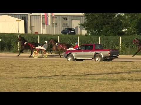 Trka "Državni šampionat za grla od 3-15. godina” 19.6.2022. Iago D'Amore - Vereb Andor