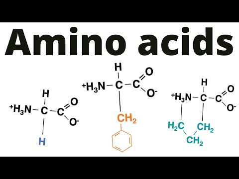 Classification of Amino acids (memorize!)