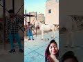 #horse #animals #love #viralvideo #feedshorts #viralvideo #viralshort