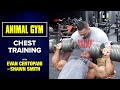 Animal Gym Chest Training | Evan Centopani and Shawn Smith