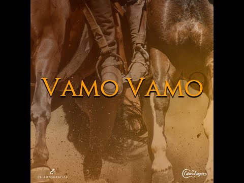 Catherine Vergnes - VAMO VAMO