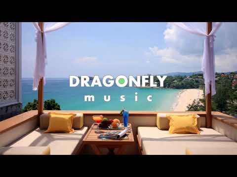 Nadro ft. Timmy Commerford & Jaytee - Paradise | 1 Hour Version