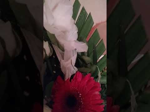 Life lessons from Nature!