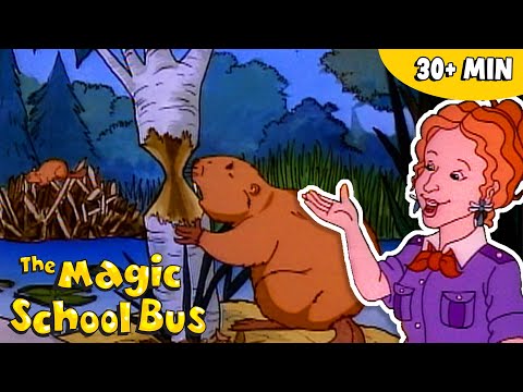 Animal Habitats | Science for Kids | The Magic School Bus
