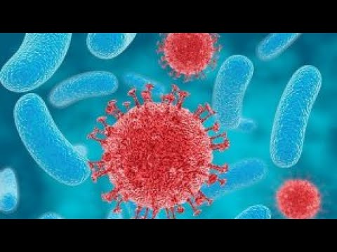 Il posto di pigmentary è arrossito Le lentiggini come liberarsi creme