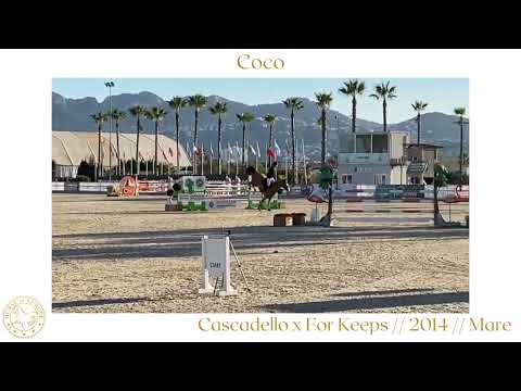 Coco // Jumper // Cascadello x For Keeps // 2014 // Mare