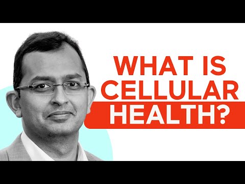 Improve your mitochondrial & muscle health today - YouTube