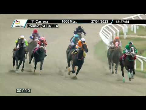 230127 c01 - HOLIDAY BLUE - HIPODROMO LAS PIEDRAS