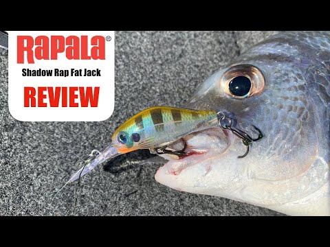 Vídeo Isca Rapala Jerkbait Shadow Rap Fat Jack SDRFJ04