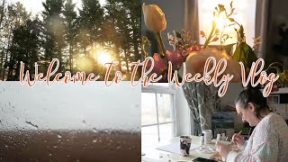Welcome to the Weekly Vlog | Maria Medeiros