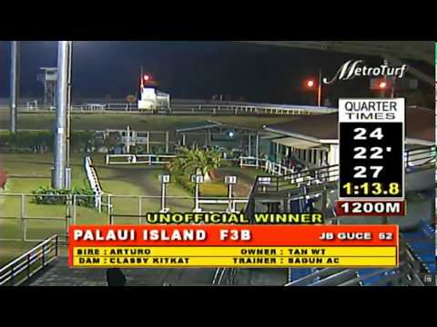 PALAUI ISLAND - FEBRUARY 26, 2020 - MMTCI RACE 3 BAYANG KARERISTA HORSE RACING REPLAY AT METRO TURF