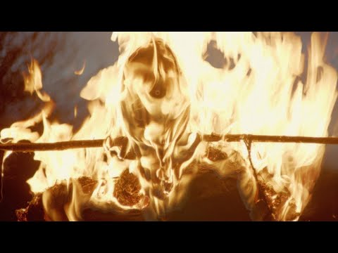 The Qualitons - Habitas Nocte (music video)