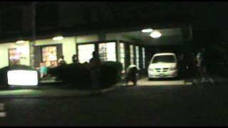 Aspen Forest Music Video