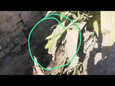 Angels Vision News | February 16, 2026