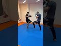 Feints with Legs - Kick Fakes & Feigns & How to Use them - Muay Thai for MMA Short